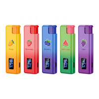 Nouveau 2026 Vente Chaude en Gros Grande Capacité Briquet Électronique Jetable Rechargeable Fournisseur OEM ODM