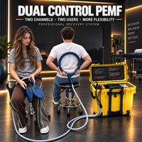 Appareil de thérapie magnétique PEMF OEM ODM pour chevaux, équipement de physiothérapie à champ électromagnétique pulsé, machine PEMF équine