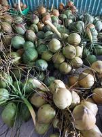 Biologische gedroogde zoete jonge groene kersen bulk water AD uit Vietnam