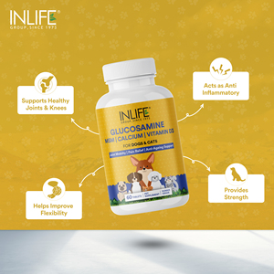 Supplément de glucosamine pour animaux de compagnie Premium 60-Tab MSM Calcium Vitamine D3 Support supérieur pour la santé des articulations Suppléments de soins de santé pour animaux de compagnie - Product Image 6