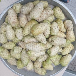 ผู้จัดส่งอาหารแช่แข็งจากเวียดนาม - Product Image 2