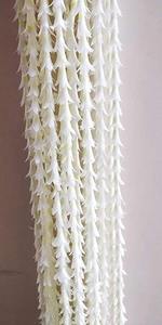 White Tuberose Garland <b>String</b> for Muslim Weddings and Nikha Decorations Jasmine Bud <b>Curtain</b> Decorations - Product Image 3