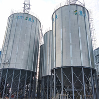 Bac à grain galvanisé de 1000 à 1500 tonnes pour ferme et élévateur à grain |   Silo en acier à installation rapide