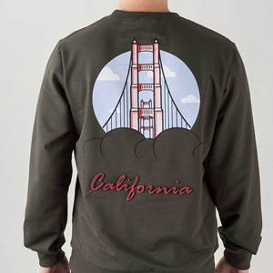 Sudadera con capucha de algodón 100% personalizada para hombre con logotipo en relieve y letra en relieve OEM 3D en relieve técnica ropa de hombre - Product Image 1
