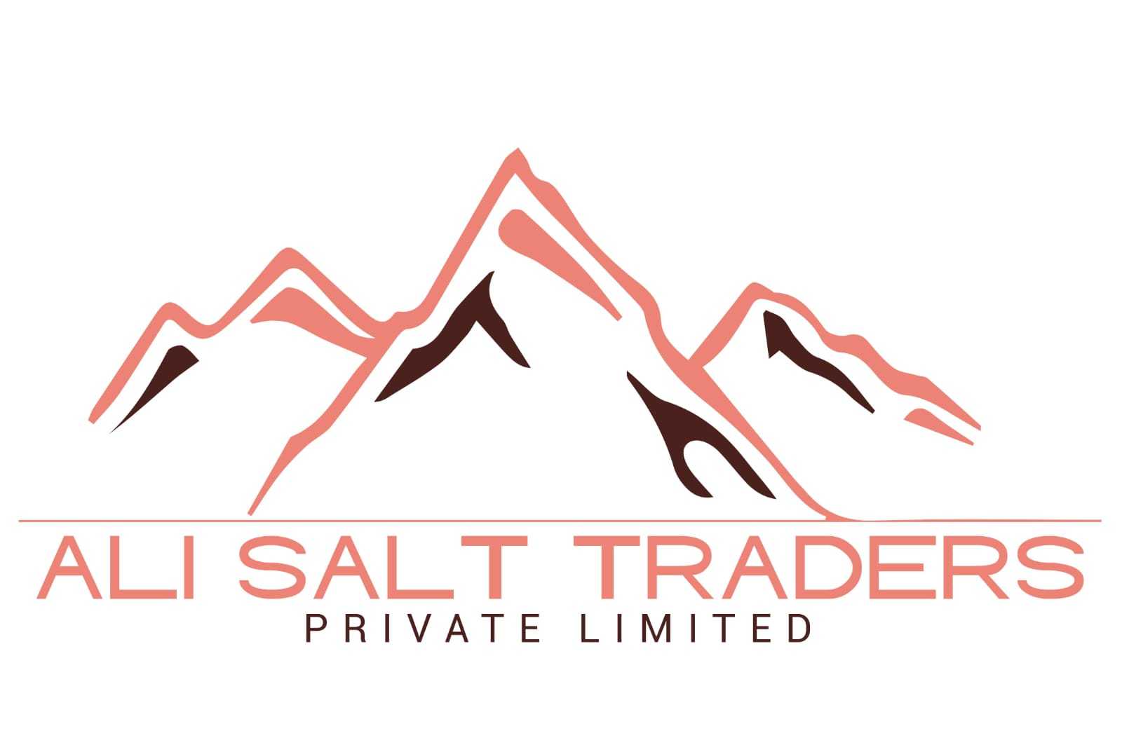 Ali Salt Traders Private Limited logo