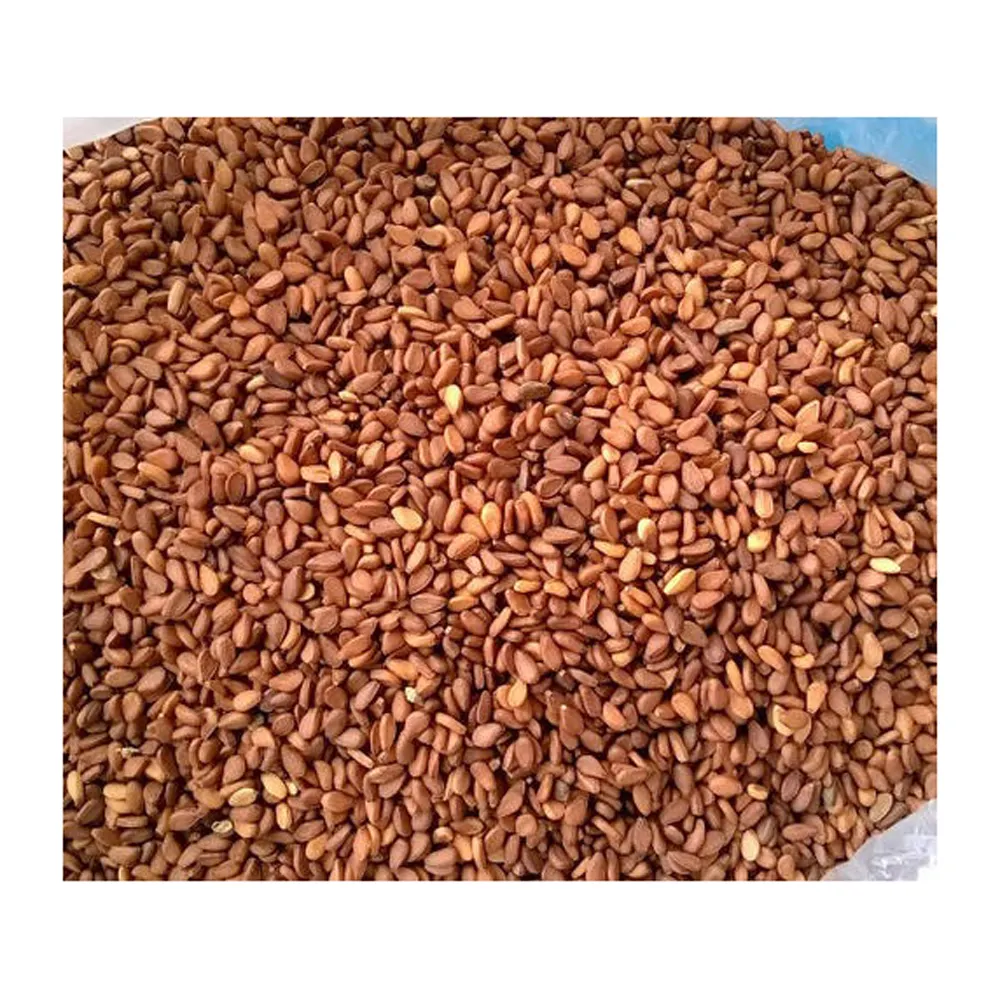 Vendita calda semi di sesamo semi di sesamo prezzo di importazione semi di sesamo dorato bianco rosso dorato qualità di alta qualità