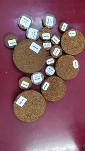 DISQUE DE COIR, USINE DE PELLET - Product Image 2