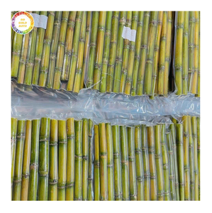 Canne à sucre congelée pour détox smoothies Fourniture en gros Bâton de canne à sucre coupé frais naturel exporté du fournisseur de boissons du Vietnam - Product Image 1