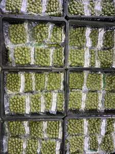 Emballage sous vide saveur aigre de lime dracontomelon congelé pour la nourriture fabriquée au Lotus Bleu Vietnam - Product Image 5