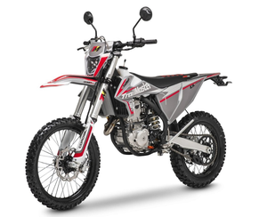 Top Genuine 2024 Trailmaster LX300 PRO EFI Adulto Dirt Bike (JHL Pro-Series) Personalizable ODM Grado industrial - Product Image 1