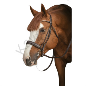 Brida de caballo con banda ancha para nariz francesa de dos tonos, banda para la frente de diamantes de imitación y diseño de Strass diario - Product Image 1