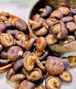 SHIITAKE <b>MUSHROOM</b> <b>CRISPS</b> / PURE INGREDIENTS ONLY / NATURAL SOURCE / SUSTAINABLY GROWN - Product Image 5