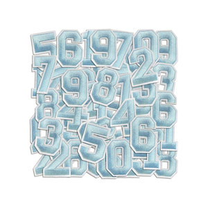 Écussons de fleurs brodées personnalisées Écussons de vêtements thermocollants avec tissu chenille Matériau PVC silicone - Product Image 4