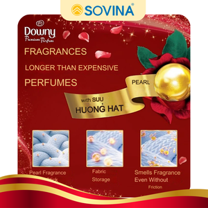 Wholesale Premium Downy Parfum Passion 2.2L X4 Bags Disposable Fabric Softener Eco-Friendly Clothing/Apparel Passionate - Product Image 4