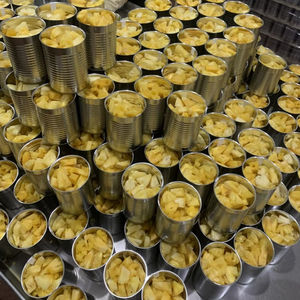 PIÑA CONSERVADA DE ALTA CALIDAD CON BUEN PRECIO EN EL MERCADO - Product Image 1