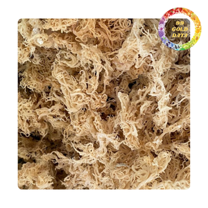 Mousse de mer séchée de qualité supérieure Eucheuma Cottonii | Algues naturelles du Vietnam, qualité d'exportation de haute qualité - Product Image 5