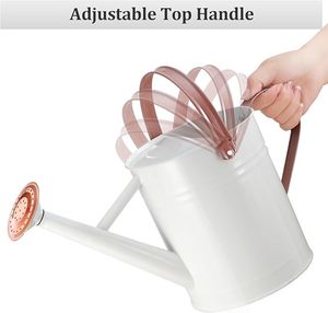 Perfect Pour Elegantes regaderas para sus plantas Nutre la naturaleza: regaderas esenciales para verduras saludables - Product Image 3