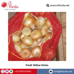 Oignon jaune frais biologique fourni par le fabricant d'Égypte, approvisionnement en vrac largement recherché, délicieux légumes frais - Product Image 5