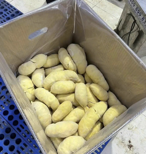 Durian Congelado de Vietnam para Exportación, Utilizando Pulpa de Durian Premium para la Preparación de Postres Dulces, Producción de Panadería y Distribución Global - Product Image 1
