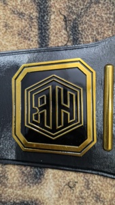 Conception personnalisée pour Champion Legacy Award 2MM d'épaisseur en cuir véritable lourd matériau souple et durable pour les arts martiaux - Product Image 5