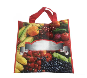 Bolsas tejidas de PP reutilizables hechas en Vietnam con impresión de huecograbado personalizada Característica a prueba de humedad laminada BOPP - Product Image 6