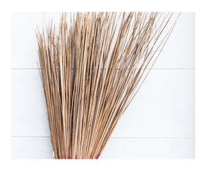 Meilleure offre de GD 2024-Bâton de balai de jardin en noix de coco Erkel Offre Spéciale 2024 Accessoires de jardin au meilleur prix - Product Image 5