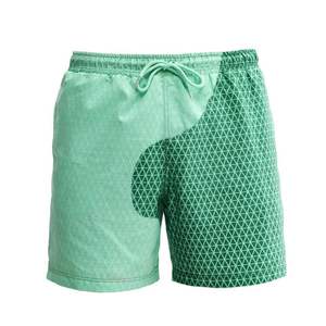 Style chaud décoloration de l'eau maillot de bain pantalon de plage mâle ue grande taille Shorts sensibles à la température expédition DDP - Product Image 5