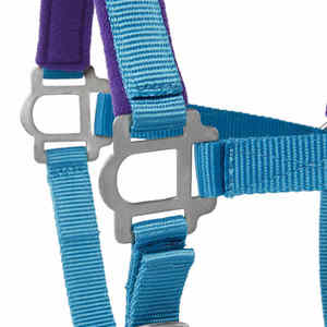 Nouveauté : Licol pour cheval rembourré, nez confortable, doux, réglable, licol rembourré pour cheval - Product Image 5