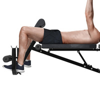 Bancs et supports de chaises romaines renforcés flexibles pour l'échauffement avant l'entraînement Produit