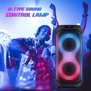 Loa di động chuyên nghiệp ngoài trời TWS 60W Party Box, loa bass 6.5 inch*2, đèn LED RGB, USB, Aux, micro karaoke, sự kiện DJ - Product Image 6