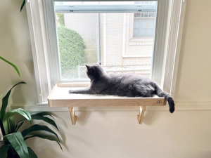 Hostk biểu tượng tùy chỉnh tre mèo gỗ cử<span class=keywords><strong>a</strong></span> sổ cá rô võng ghế mèo giường - Product Image 3