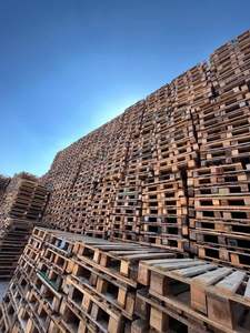 Palettes en bois Euro Palettes en bois robustes Palettes en bois Epal Prix illimités à vendre avec livraison gratuite en EUROPE/TURQUIE - Product Image 3