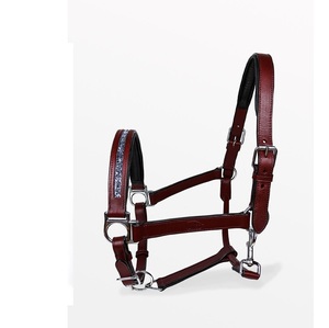 Horse Bandeau nasal en cuir rouge foncé Cristaux en argent nuit et cristal avec matériel en laiton avec pression rapide pour un soulagement rapide - Product Image 1