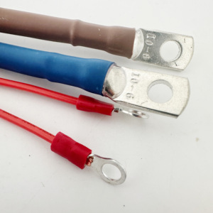 OEM可定制尼龙/PVC橡胶铜导体汽车电子线束总成 - Product Image 2