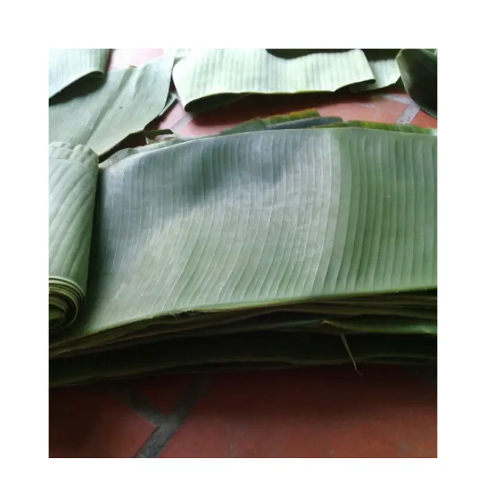 Frozen banana leaves from Vietnam at wholesale prices from the factory banana leaf plates are produced from 100% fresh banana l