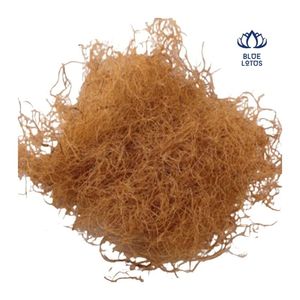 High Quality Cheap Coconut Coir Fiber Block 2025 by Blue Lotus Farm Global Wholesale - Product Image 1