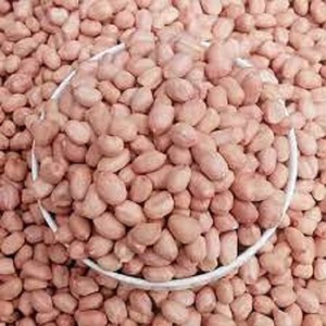 Super Quality Premium Raw <strong>Peanuts</strong> for Chutney High Oil Content Bold <strong>Size</strong> Ideal for Grinding &amp; Cooking - Product Image 1