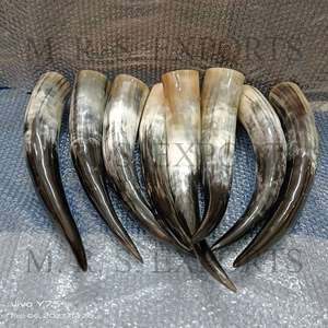 2024 Nuevo diseño Cuernos de buey Cuernos de beber vikingos Decoraciones de animales de vidrio pulido seguras para alimentos Fabricante indio M R S EXPORTS - Product Image 3