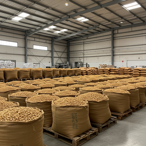 Noix de cajou brutes de taille et de forme uniformes, noix de cajou brutes fraîches pour les acheteurs en gros et les transformateurs alimentaires - Product Image 5