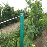 Postes de viñedo de huerto 2024 Poste de viñedo galvanizado tipo U Poste de cerca de viñedo galvanizado