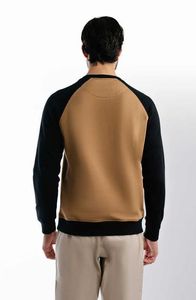 Sweat-shirt en molleton 100% coton sur mesure, vente en gros OEM |   Sweat à capuche pour homme, col rond, hiver, décontracté, streetwear, uni, 300 GSM - Product Image 2