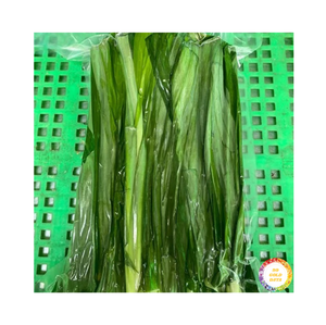 Frozen Pandan Leaves Vietnam IQF Premium Quality, empaquetado a granel para exportación y aromático, suministrado por 99 Gold Data - Product Image 2