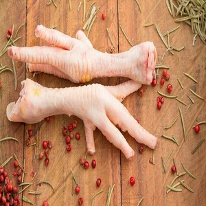 Patas de pollo congeladas a la venta, patas de pollo congeladas baratas y asequibles, perfectas para pedidos al por mayor, entrega rápida, compra Premium - Product Image 2