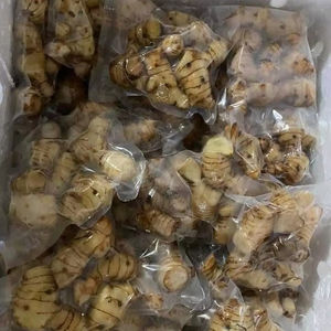Galangal congelé du fournisseur vietnamien supérieur/ingrédient d'épices de qualité supérieure pour le marché mondial à des prix compétitifs - Product Image 1