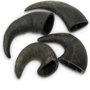 100% Natural Buffalo Horn Pet Chew Healthy <b>Protein</b>-Rich Dog Treat for Oral Hygiene, Long-Lasting Grain-Free Chew For Dog - Product Image 1