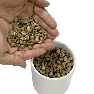 Grains de café Robusta S18 de qualité supérieure offres de gros directes d'usine prix compétitif du Vietnam haricots verts crus - Product Image 3