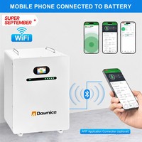 Système de stockage d'énergie domestique LiFePO4 51,2 V 314 Ah 15 kWh avec BMS intelligent, montage mural, 6000 cycles, pour la sauvegarde de toute la maison