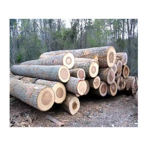 Bois de bouleau de haute qualité-Bois et grumes pour la construction - Product Image 1