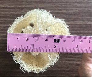 ใยบวบแห้งใช้สำหรับล้างจานชินเทรนฟองน้ำใยบวบแห้งใช้สำหรับล้างจาน - Product Image 2