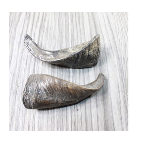 Excellente corne de chèvre naturelle de meilleure qualité, fait à la main, corne à mâcher de béliers classiques, fournisseur en gros - Product Image 4